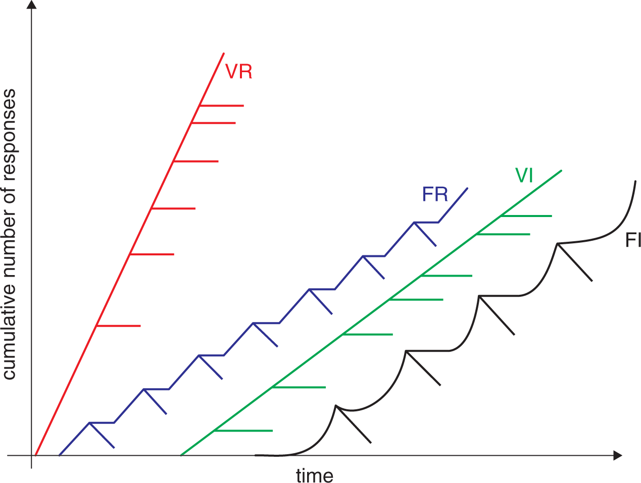 effectiveness of various reinforcement schedules