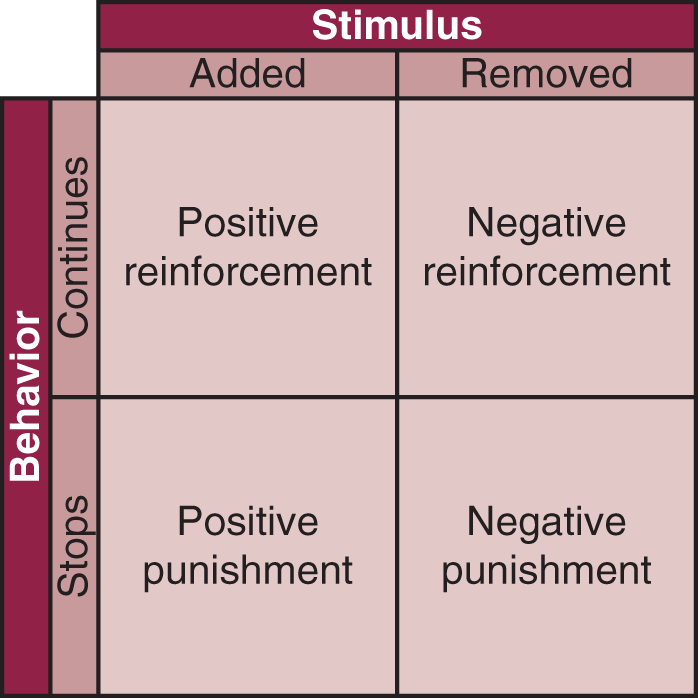 stimulus added: if behavior continues, positive reinforcement; if behavior stops, positive punishment. stimulus removed: if behavior continues, negative reinforcement; if behavior stops, negative punishment