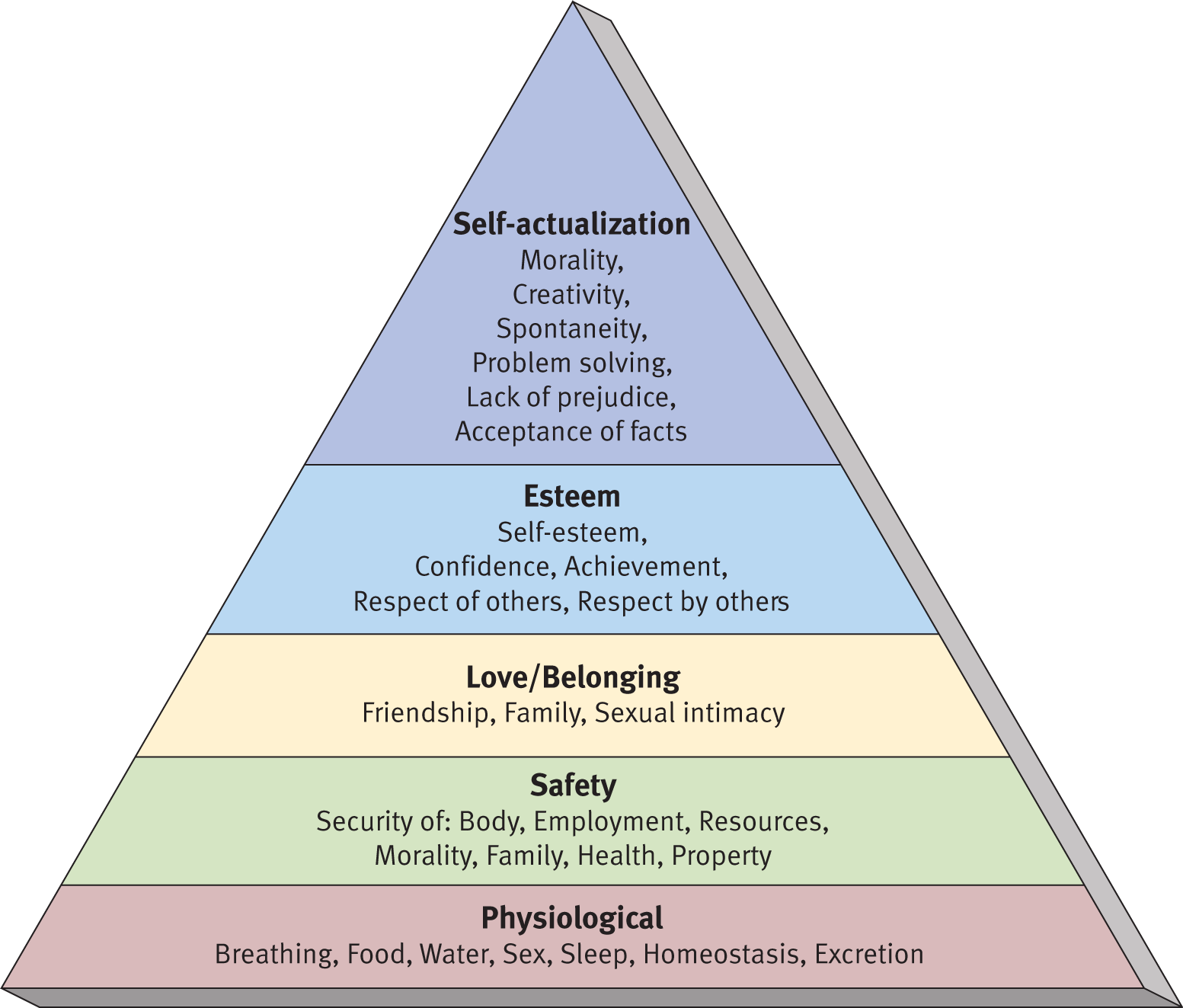 base: physiological (breathing, food, water, sex, sleep, homeostasis, excretion); then, safety (security of body, employment, resources, morality, the family, health, property), love/belonging (friendship, family, sexual intimacy), esteem (self-esteem, confidence, achievement, respect of others, respect by others), and self-actualization (morality, creativity, spontaneity, problem-solving, lack of prejudice, acceptance of facts)