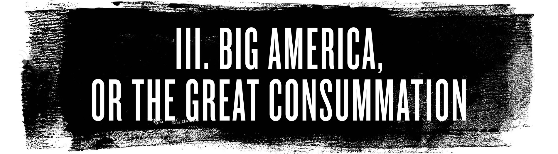 III. BIG AMERICA, OR THE GREAT CONSUMMATION