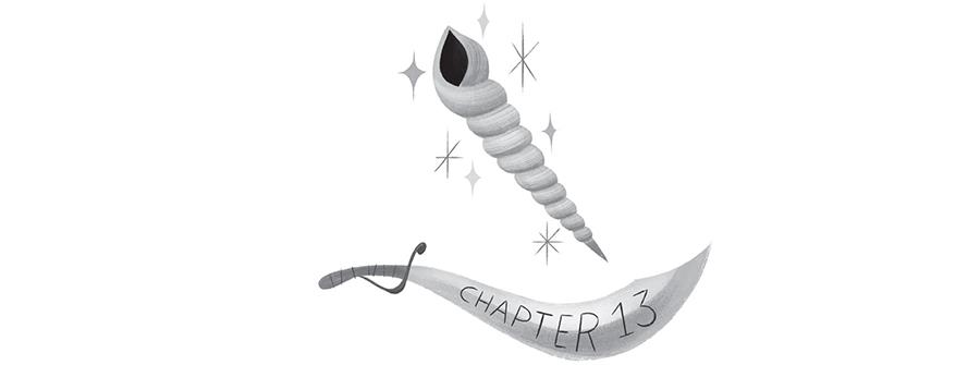 Chapter 13