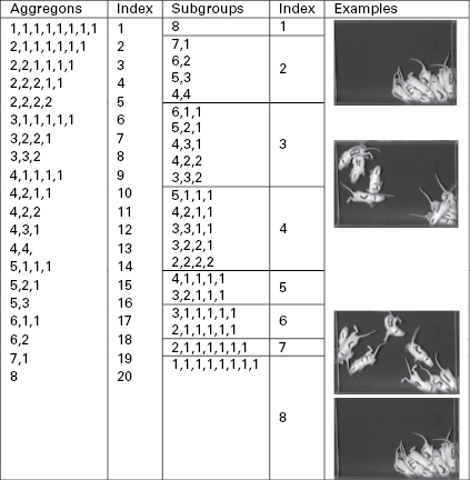 Figure 6.2