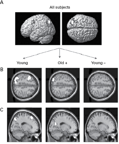 Figure 15.5