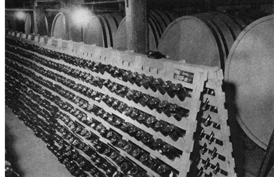 CHAMPAGNE CELLAR, RHEIMS