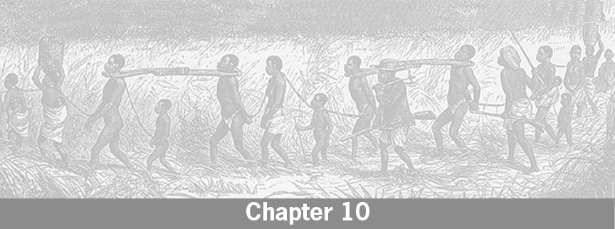 Chapter10.jpg