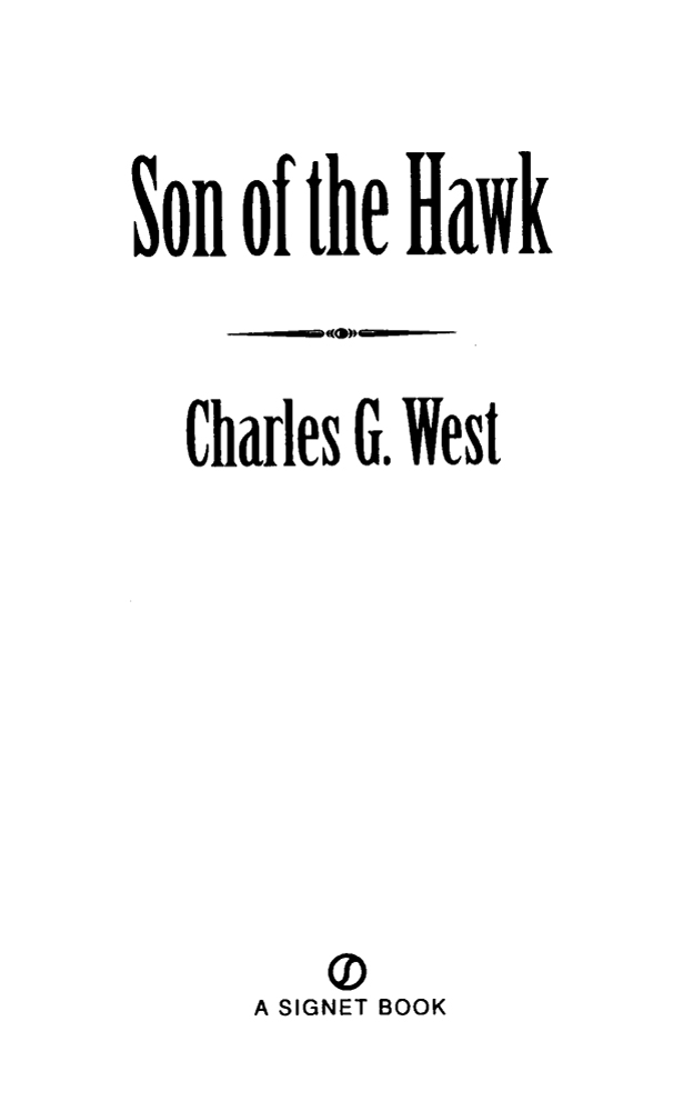 Cover image for Son of the Hawk