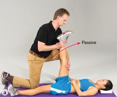 Figure 2.2 The contract-relax stretch for the hamstrings. The partner passively stretches the hamstrings to their pain-free end range. The stretcher initiates an isotonic concentric contraction of the hamstrings as the partner offers moderate resistance through 10 to 20 degrees of motion. The partner then fully resists any additional motion of the leg (an isometric contraction). The partner moves the leg to stretch the hamstrings to a new range of motion.