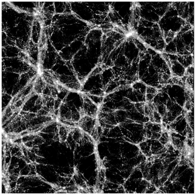 Figure 3.2 A slice through a computer simulation of structure formation in a standard-model universe, dominated by dark matter and dark energy. The scale of the image is approximately 650 million light years on a side. The dark matter clumps under gravity, generating a network of filaments and voids that bears a striking resemblance to the structure seen in the real galaxy distribution, as illustrated in Figure 3.1. (Copyright photo: John Peacock)