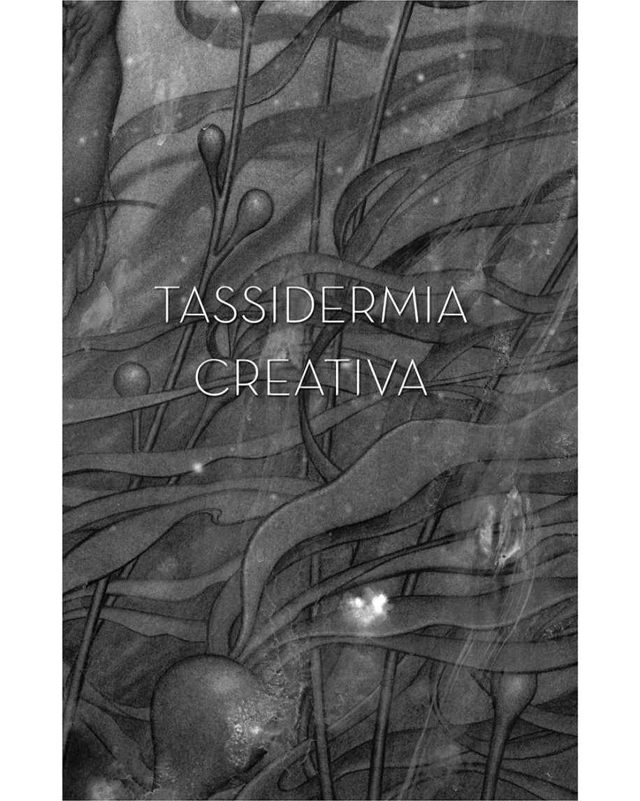 forma_acqua_Occ_Tassidermia_creativa