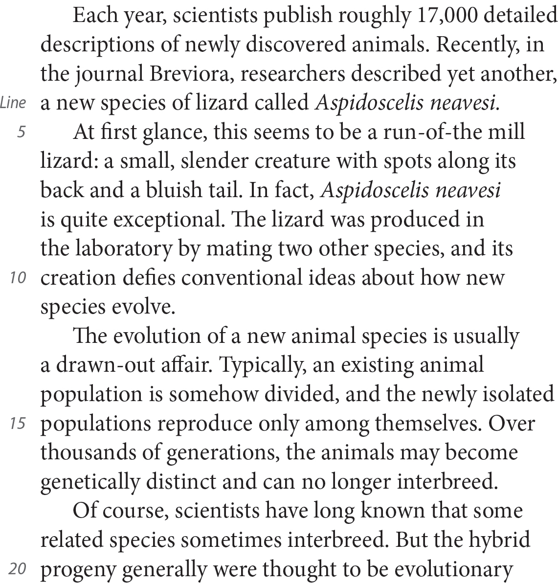 Each year, scientists publish roughly 17,000 detailed descriptions of newly discovered animals. Recently, in the journal Breviora, researchers described yet another, a new species of lizard called Aspidoscelis neavesi. At first glance, this seems to be a run-of-the mill lizard: a small, slender creature with spots along its back and a bluish tail. In fact, Aspidoscelis neavesi is quite exceptional. The lizard was produced in the laboratory by mating two other species, and its creation defies conventional ideas about how new species evolve. The evolution of a new animal species is usually a drawn-out affair. Typically, an existing animal population is somehow divided, and the newly isolated populations reproduce only among themselves. Over thousands of generations, the animals may become genetically distinct and can no longer interbreed. Of course, scientists have long known that some related species sometimes interbreed. But the hybrid progeny generally were thought to be evolutionary