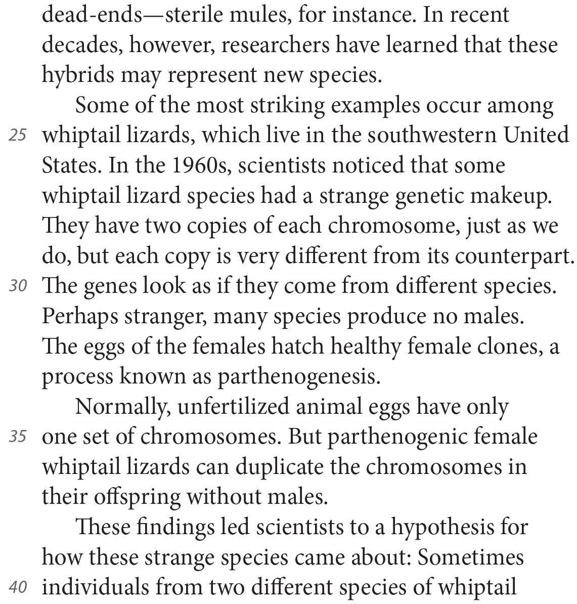 dead-ends—sterile mules, for instance. In recent decades, however, researchers have learned that these hybrids may represent new species. Some of the most striking examples occur among whiptail lizards, which live in the southwestern United States. In the 1960s, scientists noticed that some whiptail lizard species had a strange genetic makeup. They have two copies of each chromosome, just as we do, but each copy is very different from its counterpart. The genes look as if they come from different species. Perhaps stranger, many species produce no males. The eggs of the females hatch healthy female clones, a process known as parthenogenesis. Normally, unfertilized animal eggs have only one set of chromosomes. But parthenogenic female whiptail lizards can duplicate the chromosomes in their offspring without males. These findings led scientists to a hypothesis for how these strange species came about: Sometimes individuals from two different species of whiptail