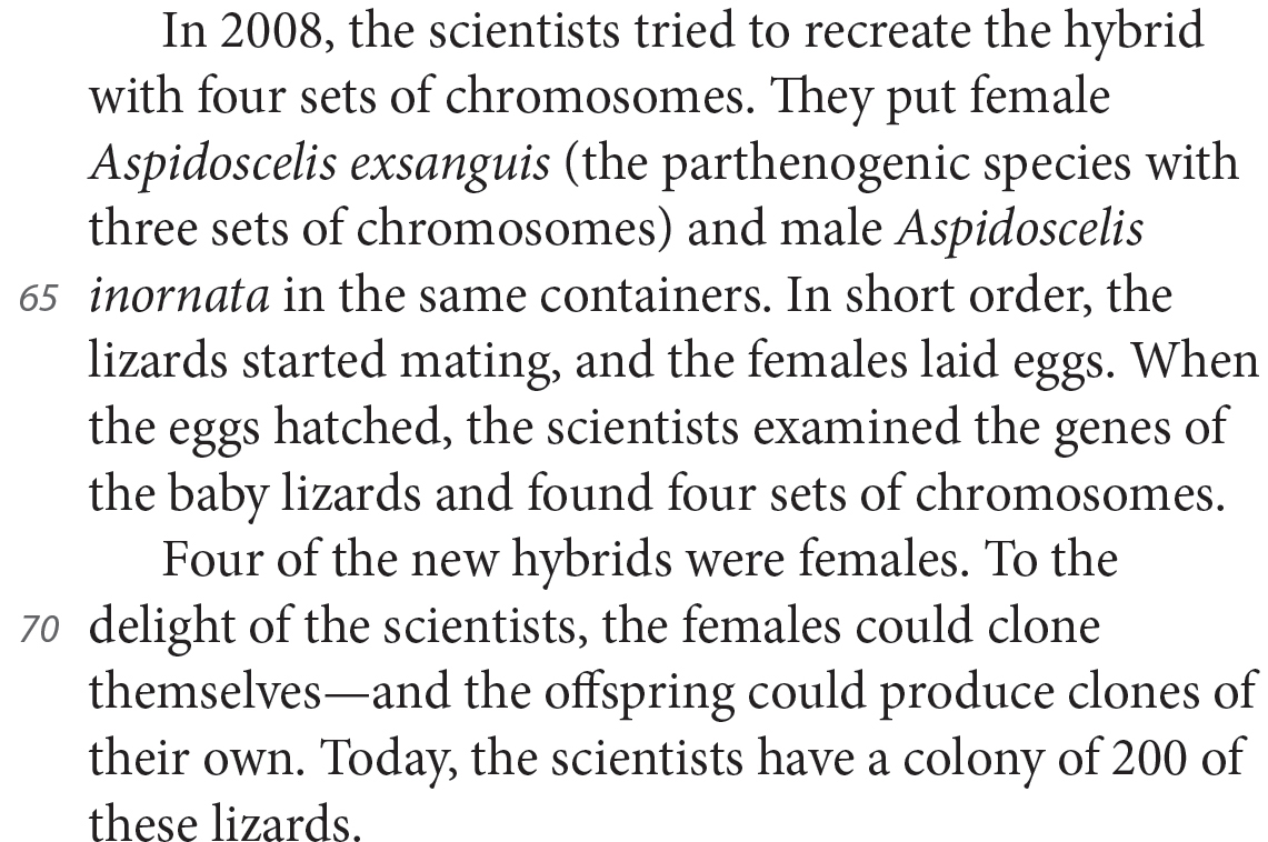 In 2008, the scientists tried to recreate the hybrid with four sets of chromosomes. They put female Aspidoscelis exsanguis (the parthenogenic species with three sets of chromosomes) and male Aspidoscelis inornata in the same containers. In short order, the lizards started mating, and the females laid eggs. When the eggs hatched, the scientists examined the genes of the baby lizards and found four sets of chromosomes. Four of the new hybrids were females. To the delight of the scientists, the females could clone themselves—and the offspring could produce clones of their own. Today, the scientists have a colony of 200 of these lizards.