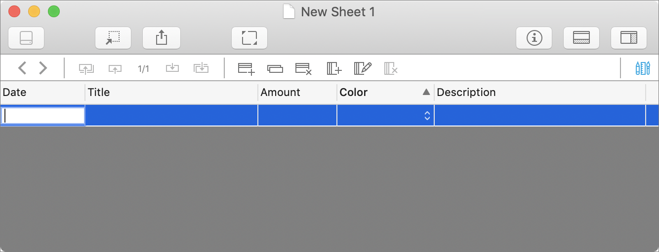 Figure 33: A new sheet with just one blank record added.