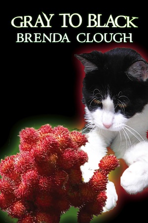 Gray to Black, by Brenda Clough. Cover by Amy Sterling Casil