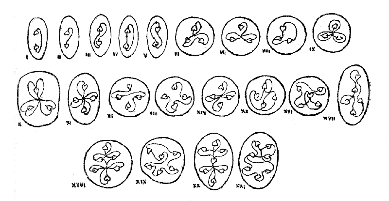 Types of Hyper-Meta-Proto-Elemental Matter.