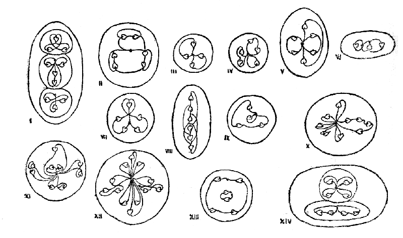 Types of Meta-Proto-Elemental Matter