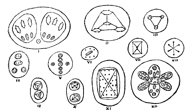 Types of Proto-Elemental Matter