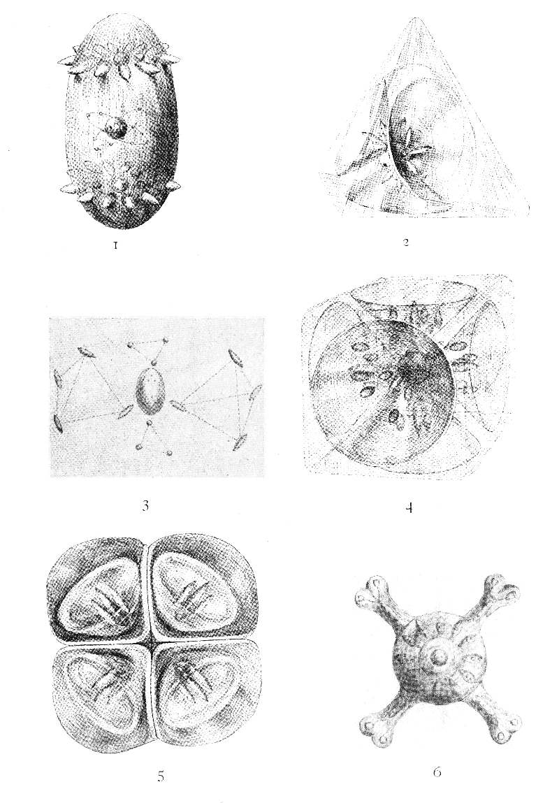 Plate III.