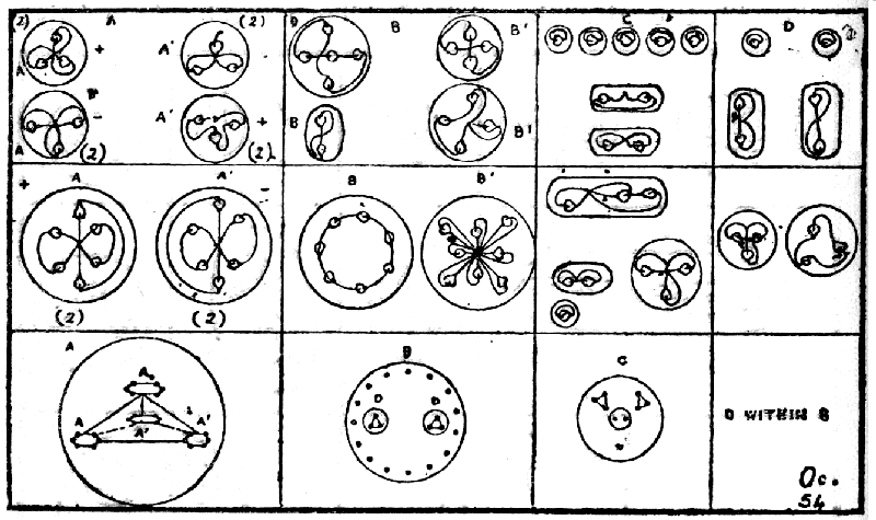 Dissociation of Occultum.