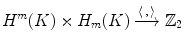 $$ H^m(K)\times H_m(K) \xrightarrow {\langle \, ,\,\rangle } {\mathbb Z}_2 $$