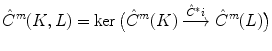 $$ \hat{C}^m(K,L)=\ker \big (\hat{C}^m(K)\xrightarrow {\hat{C}^*i} \hat{C}^m(L)\big ) $$