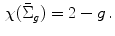 $$\begin{aligned} \chi (\bar{\Sigma }_g)= 2-g \, . \end{aligned}$$