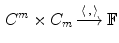 $$\begin{aligned} C^m\times C_m \mathop {\longrightarrow }\limits ^{\langle \, ,\,\rangle } {\mathbb F}\end{aligned}$$