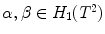 $$\alpha ,\beta \in H_1(T^2)$$