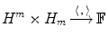 $$H^m\times H_m \mathop {\longrightarrow }\limits ^{\langle \, ,\,\rangle } {\mathbb F}$$