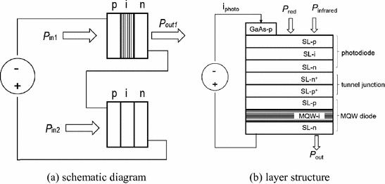 A340699_1_En_2_Fig10_HTML.gif