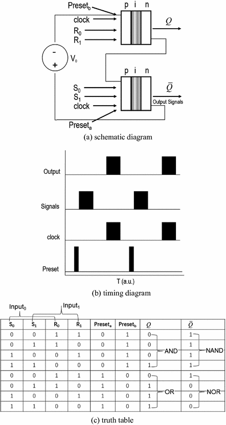 A340699_1_En_2_Fig15_HTML.gif