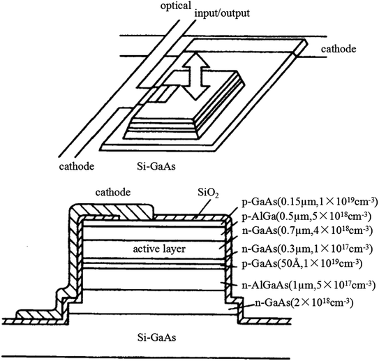 A340699_1_En_3_Fig22_HTML.gif