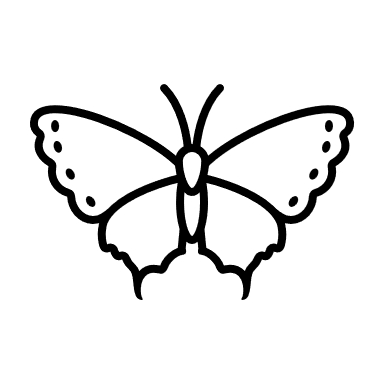 Butterfly outline