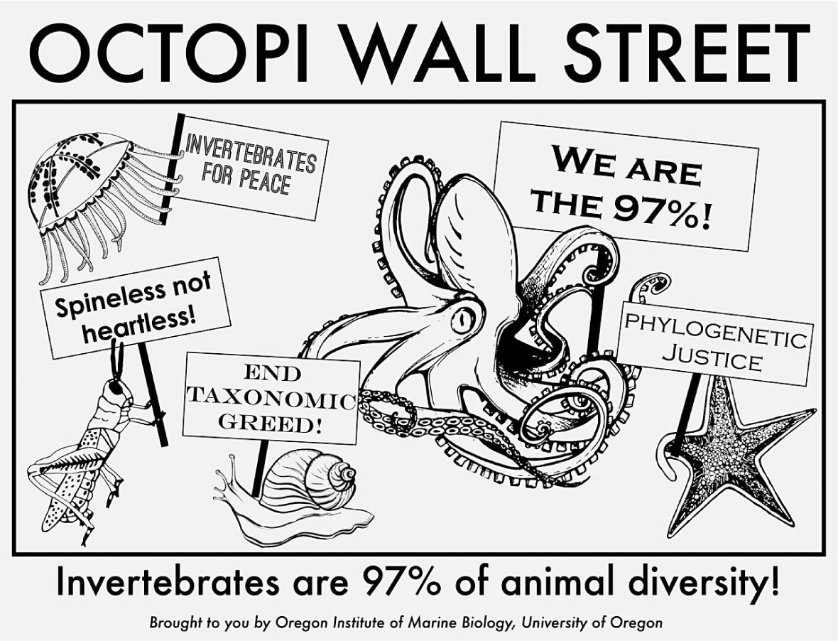 Fig 2.5  Octopi Wall Street: Symchtonic revolt. Disegno di Marley Javis, Laurel Hiebert, Kira Treibergs, 2011. Oregon Insitute of Marine Biology