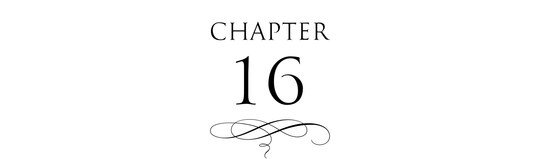 Chapter 16