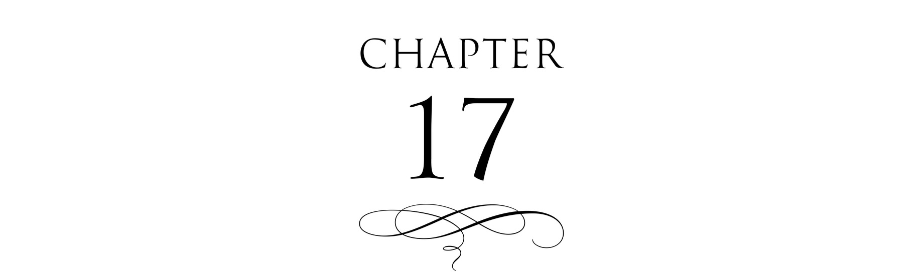 Chapter 17