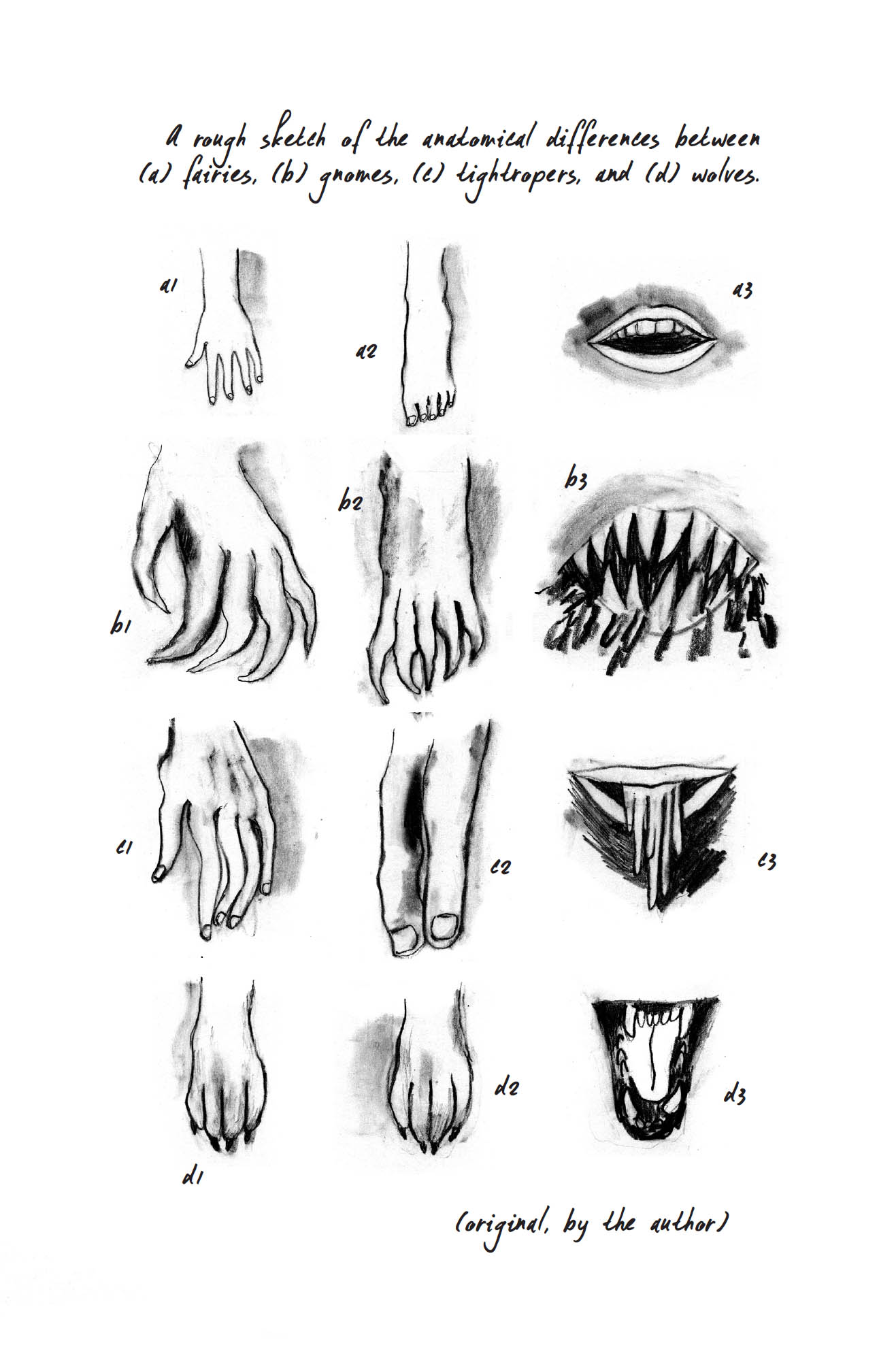 A rough sketch of the anatomical differences between (a) fairies, (b) gnomes, (c) tightropers, and (d) wolves. a1 a2 a3 b1 b2 b3 c1 c2 c3 d1 d2 d3 (original, by the author)