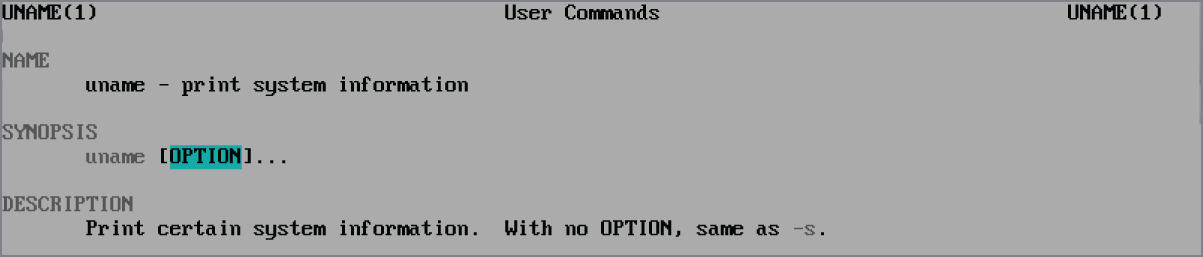 Snapshot of manual pages for the uname command