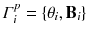 $$\varGamma ^p_i=\{\theta _i,\mathbf B _i\}$$