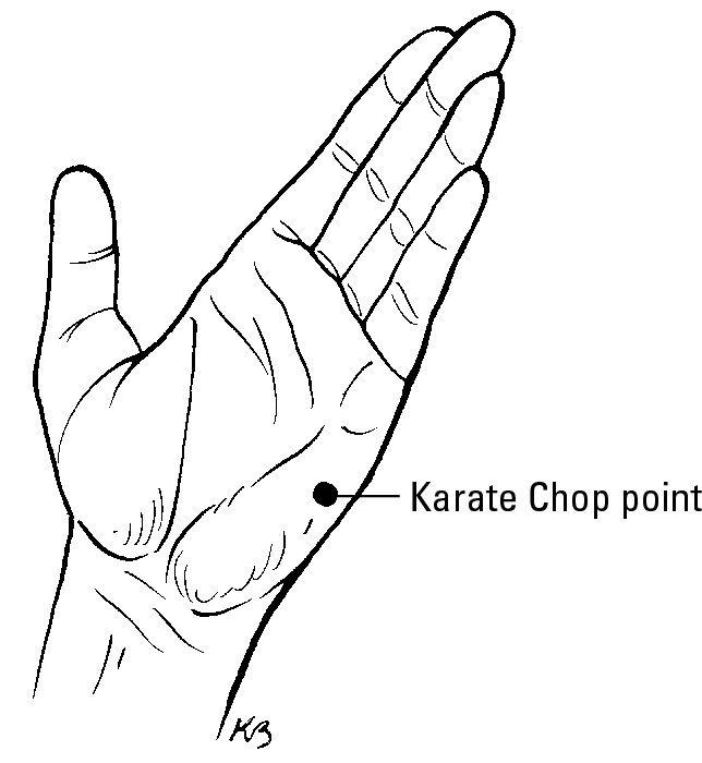 Figure 12-1: The Karate Chop point.