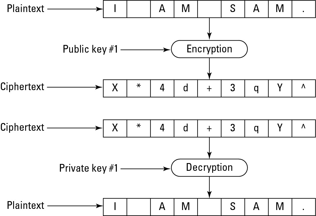 Figure 5-5: Public keys encrypt data, and private keys decrypt data.