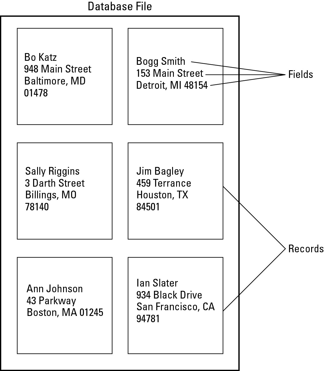 Figure 1-2: A flat-file database stores data in fields and records.