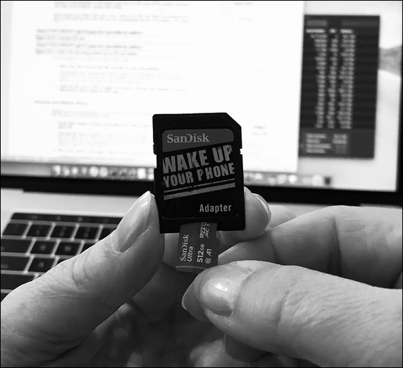 Photo depicts a Micro SD card being inserted into an SD card adaptor.