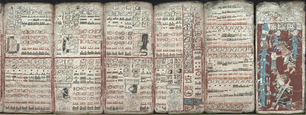 A photograph of the Mayan Dresden codex, which shows numerous tiny pictures organized like letters.