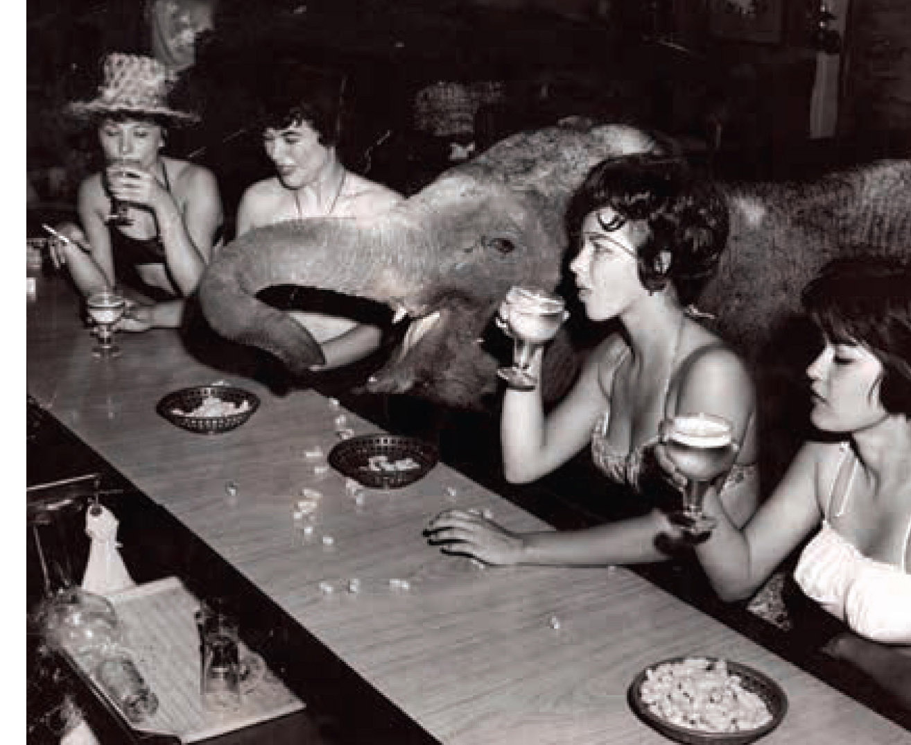 Guests—and a live elephant—enjoy ...