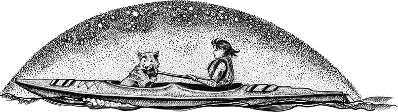 A woman and a dog in a kayak under a starry night sky.