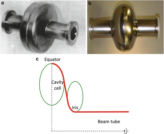 A319817_1_En_13_Fig5_HTML.jpg