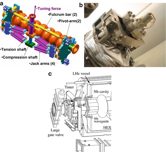 A319817_1_En_13_Fig9_HTML.jpg