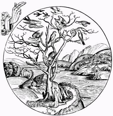 FIG. 10.—The Fifth Day of Creation. From Schedel’s “Liber Chronicarum.” Nuremberg, 1493.