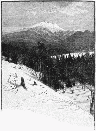 FIG. 79.—Mount Lafayette (White Mountains). By J. Tinkey.